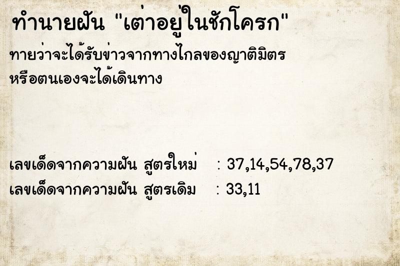 ทำนายฝันทำนายฝันเต่าอยู่ในชักโครก