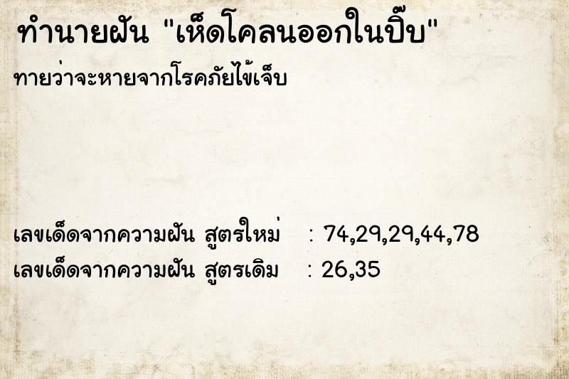 ทำนายฝันทำนายฝันเห็ดโคลนออกในปิ๊บ