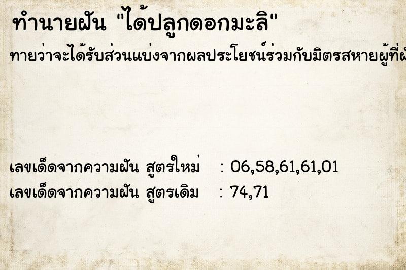 ทำนายฝันทำนายฝันได้ปลูกดอกมะลิ