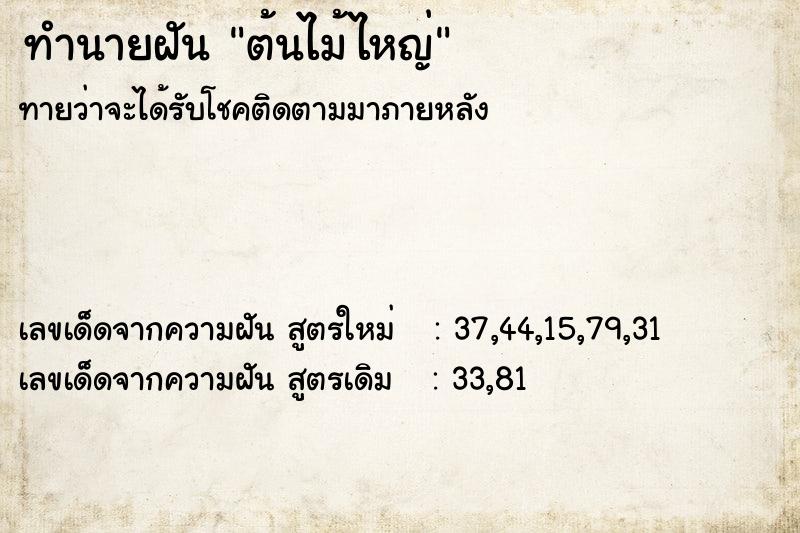 ทำนายฝันต้นไม้ไหญ่ ทำนายฝันทำนายฝันต้นไม้ไหญ่