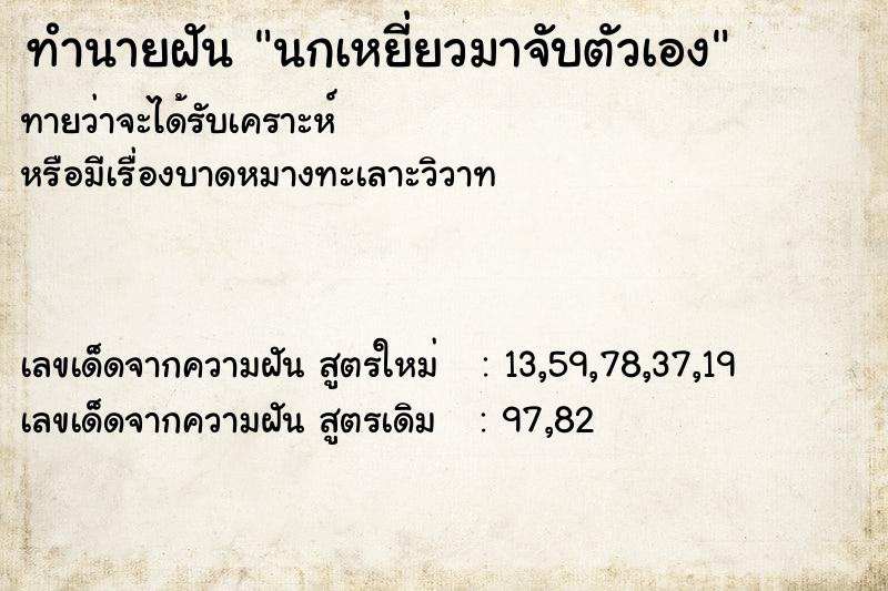 ทำนายฝันนกเหยี่ยวมาจับตัวเอง ทำนายฝันทำนายฝันนกเหยี่ยวมาจับตัวเอง