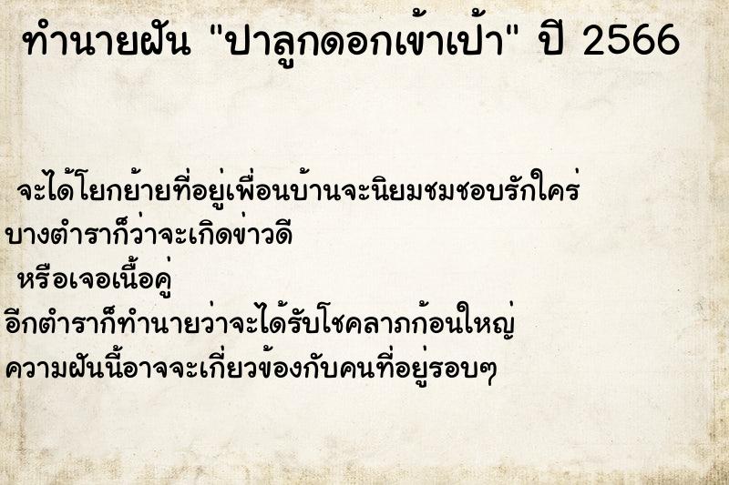 ทำนายฝัน ปาลูกดอกเข้าเป้า ทำนายฝัน ปาลูกดอกเข้าเป้า