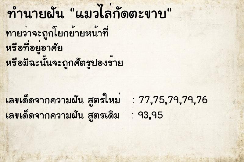 ทำนายฝันทำนายฝันแมวไล่กัดตะขาบ