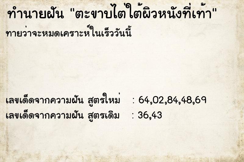 ทำนายฝันตะขาบไต่ใต้ผิวหนังที่เท้า ทำนายฝันทำนายฝันตะขาบไต่ใต้ผิวหนังที่เท้า