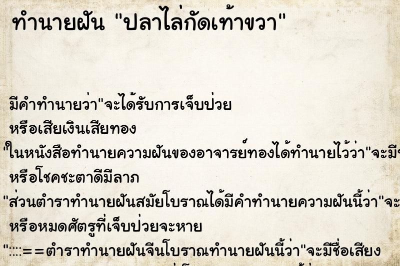 ทำนายฝันปลาไล่กัดเท้าขวา ทำนายฝันทำนายฝันปลาไล่กัดเท้าขวา