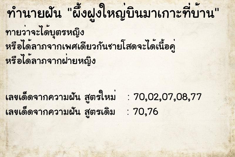ทำนายฝันผึ้งฝูงใหญ่บินมาเกาะที่บ้าน ทำนายฝันทำนายฝันผึ้งฝูงใหญ่บินมาเกาะที่บ้าน