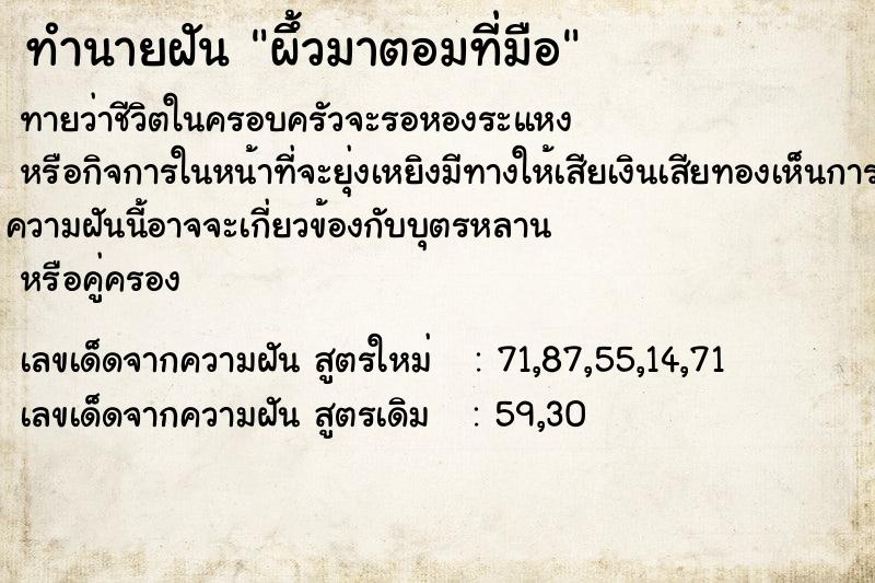 ทำนายฝันผึ้วมาตอมที่มือ ทำนายฝันทำนายฝันผึ้วมาตอมที่มือ