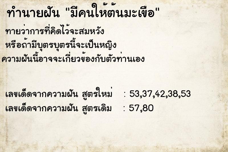 ทำนายฝัน มีคนให้ต้นมะเขือ ทำนายฝัน มีคนให้ต้นมะเขือ