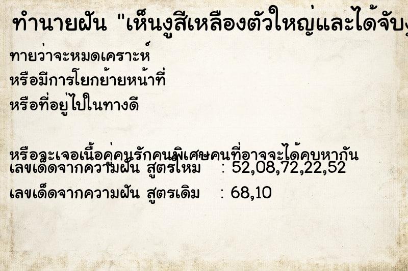 ทำนายฝันเห็นงูสีเหลืองตัวใหญ่และได้จับงูสีเหลืองตัวเล็ก ทำนายฝันทำนายฝันเห็นงูสีเหลืองตัวใหญ่และได้จับงูสีเหลืองตัวเล็ก