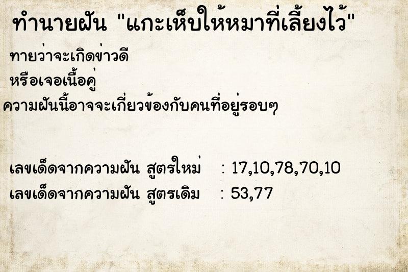 ทำนายฝันทำนายฝันแกะเห็บให้หมาที่เลี้ยงไว้