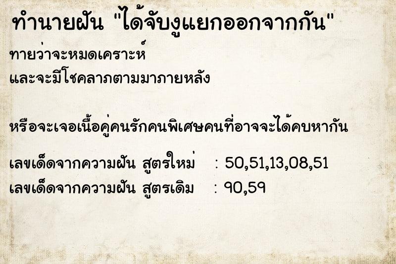 ทำนายฝันทำนายฝันได้จับงูแยกออกจากกัน