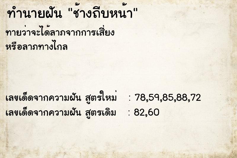 ทำนายฝันช้างถีบหน้า ทำนายฝันทำนายฝันช้างถีบหน้า