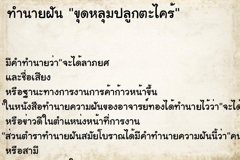 ทำนายฝัน ขุดหลุมปลูกตะไคร้ ทำนายฝัน ขุดหลุมปลูกตะไคร้