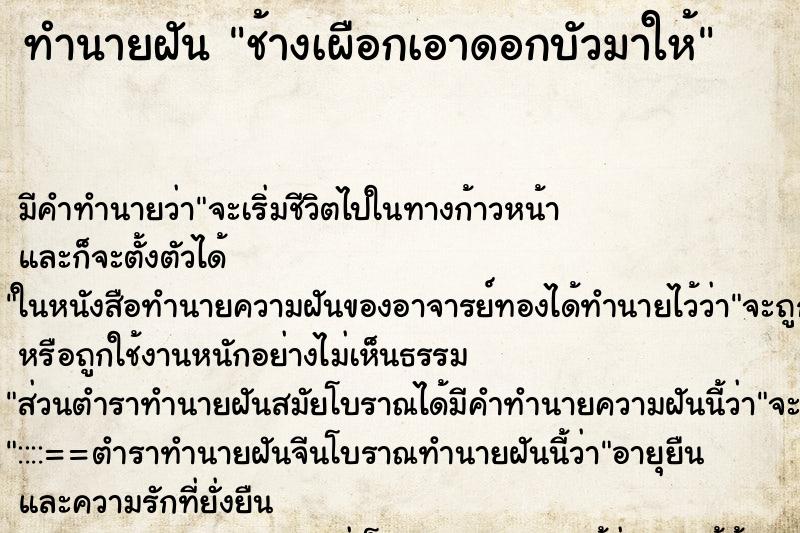 ทำนายฝัน ช้างเผือกเอาดอกบัวมาให้