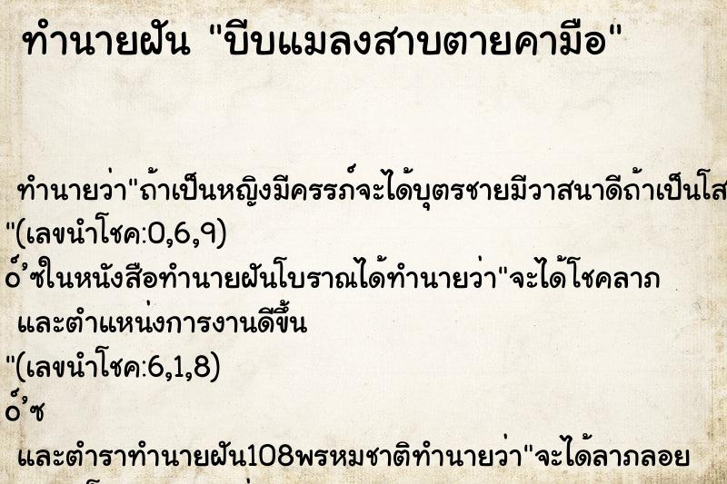 ทำนายฝัน บีบแมลงสาบตายคามือ ทำนายฝัน บีบแมลงสาบตายคามือ