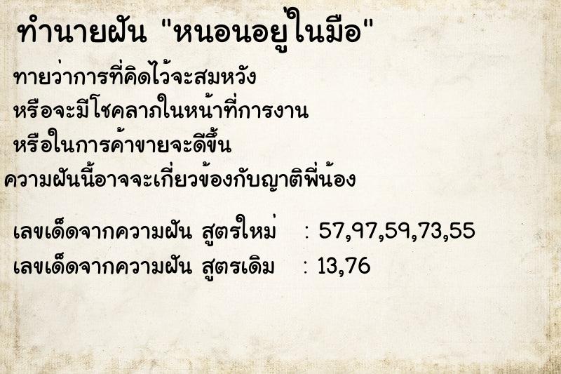 ทำนายฝันหนอนอยู่ในมือ ทำนายฝันทำนายฝันหนอนอยู่ในมือ