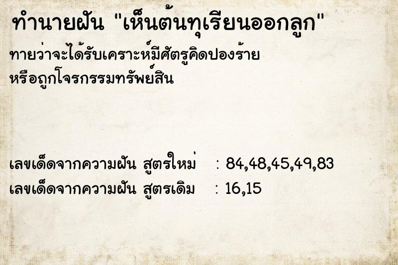 ทำนายฝัน เห็นต้นทุเรียนออกลูก ทำนายฝัน เห็นต้นทุเรียนออกลูก