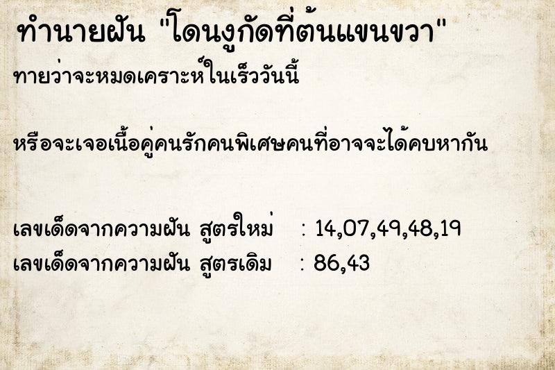 ทำนายฝันทำนายฝันโดนงูกัดที่ต้นแขนขวา