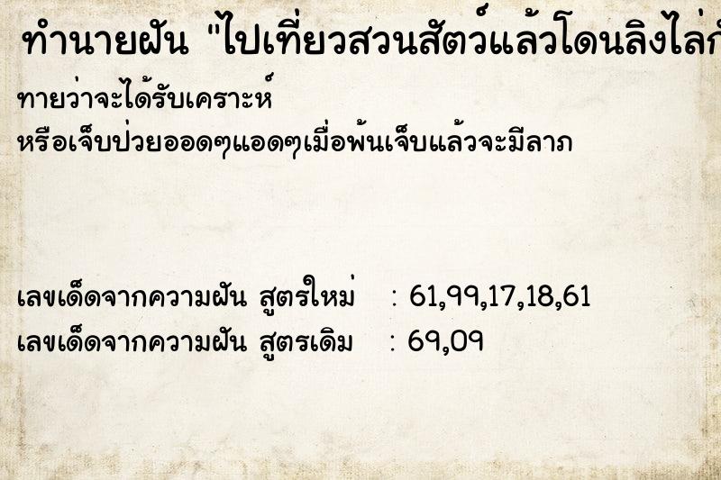 ทำนายฝันทำนายฝันไปเที่ยวสวนสัตว์แล้วโดนลิงไล่กัด