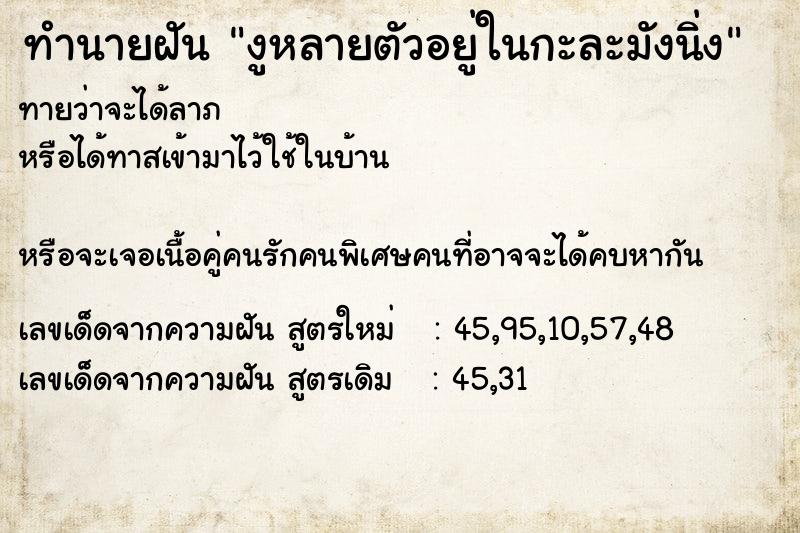 ทำนายฝันงูหลายตัวอยู่ในกะละมังนิ่ง ทำนายฝันทำนายฝันงูหลายตัวอยู่ในกะละมังนิ่ง