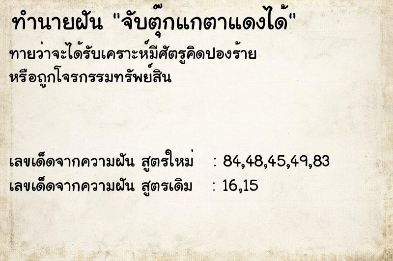ทำนายฝันจับตุ๊กแกตาแดงได้ ทำนายฝันทำนายฝันจับตุ๊กแกตาแดงได้