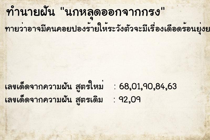 ทำนายฝัน นกหลุดออกจากกรง