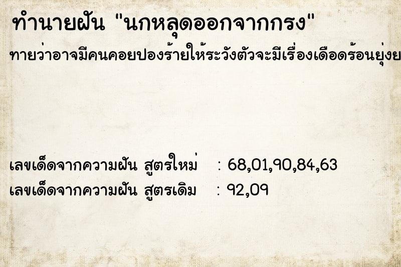 ทำนายฝัน นกหลุดออกจากกรง ตำราโบราณ แม่นที่สุดในโลก