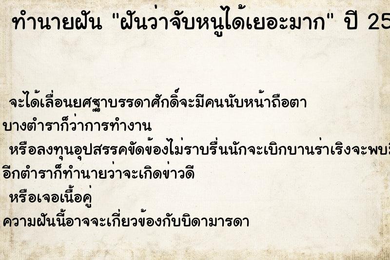 ทำนายฝันทำนายฝันฝันว่าจับหนูได้เยอะมาก