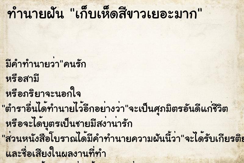 ทำนายฝัน เก็บเห็ดสีขาวเยอะมาก ทำนายฝัน เก็บเห็ดสีขาวเยอะมาก