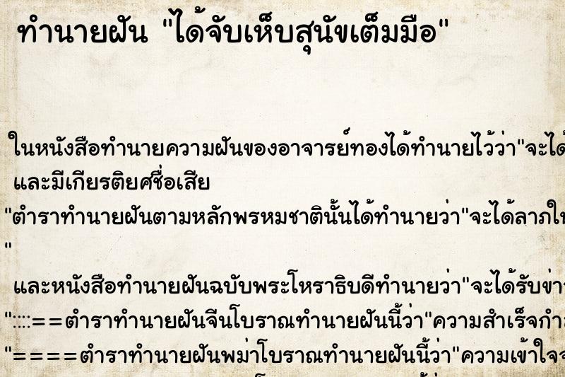 ทำนายฝันทำนายฝันได้จับเห็บสุนัขเต็มมือ