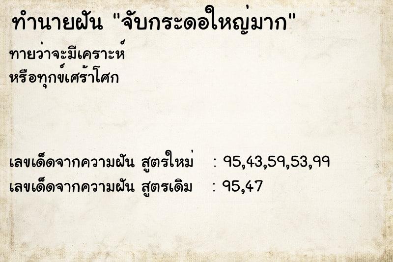 ทำนายฝันจับกระดอใหญ่มาก ทำนายฝันทำนายฝันจับกระดอใหญ่มาก