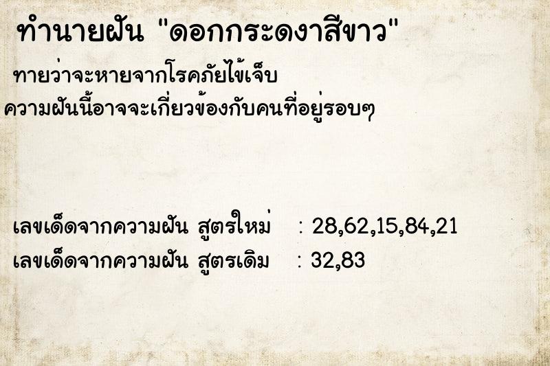 ทำนายฝันดอกกระดงาสีขาว ทำนายฝันทำนายฝันดอกกระดงาสีขาว