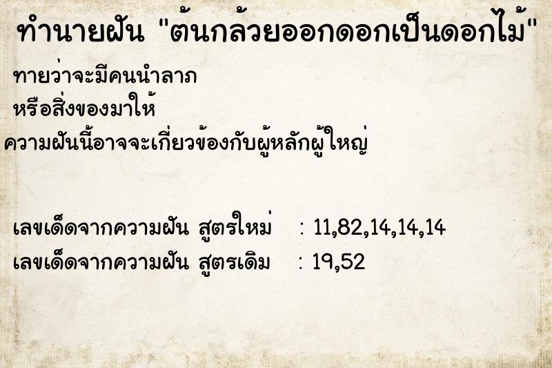 ทำนายฝัน ต้นกล้วยออกดอกเป็นดอกไม้ ทำนายฝัน ต้นกล้วยออกดอกเป็นดอกไม้