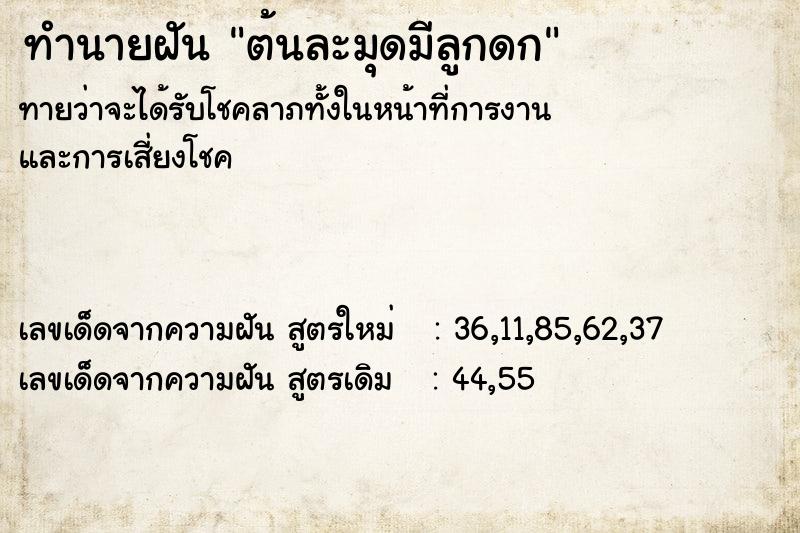 ทำนายฝัน ต้นละมุดมีลูกดก