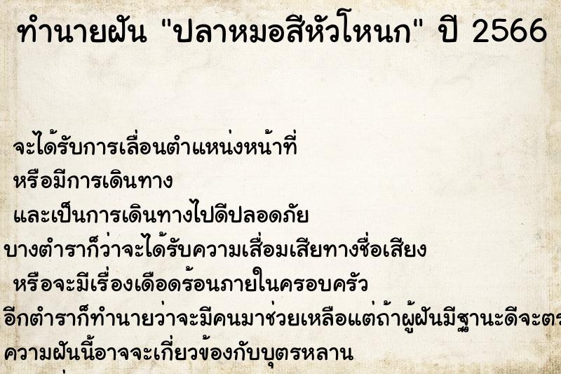 ทำนายฝันปลาหมอสีหัวโหนก ทำนายฝันทำนายฝันปลาหมอสีหัวโหนก