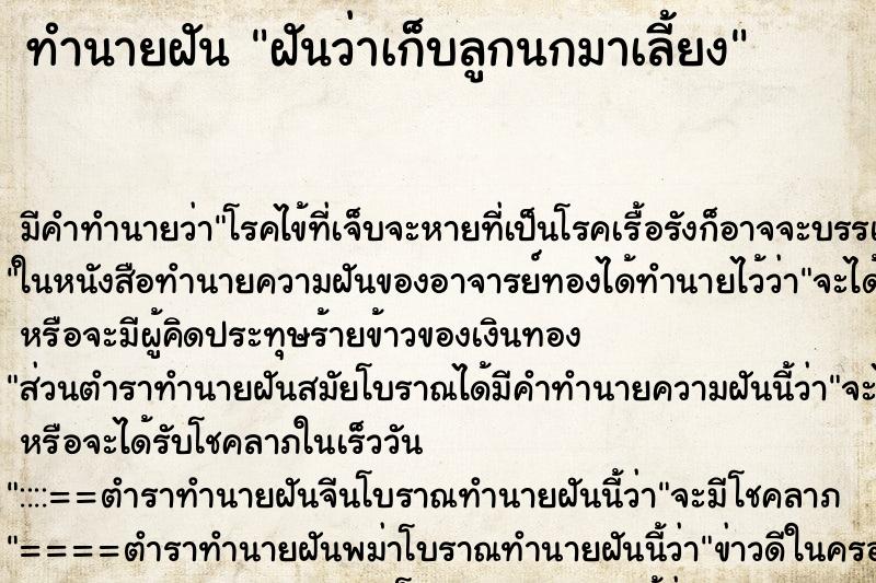 ทำนายฝัน ฝันว่าเก็บลูกนกมาเลี้ยง ทำนายฝัน ฝันว่าเก็บลูกนกมาเลี้ยง