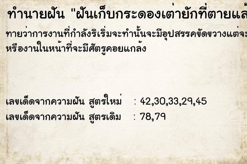 ทำนายฝันฝันเก็บกระดองเต่ายักที่ตายแล้ว ทำนายฝันทำนายฝันฝันเก็บกระดองเต่ายักที่ตายแล้ว