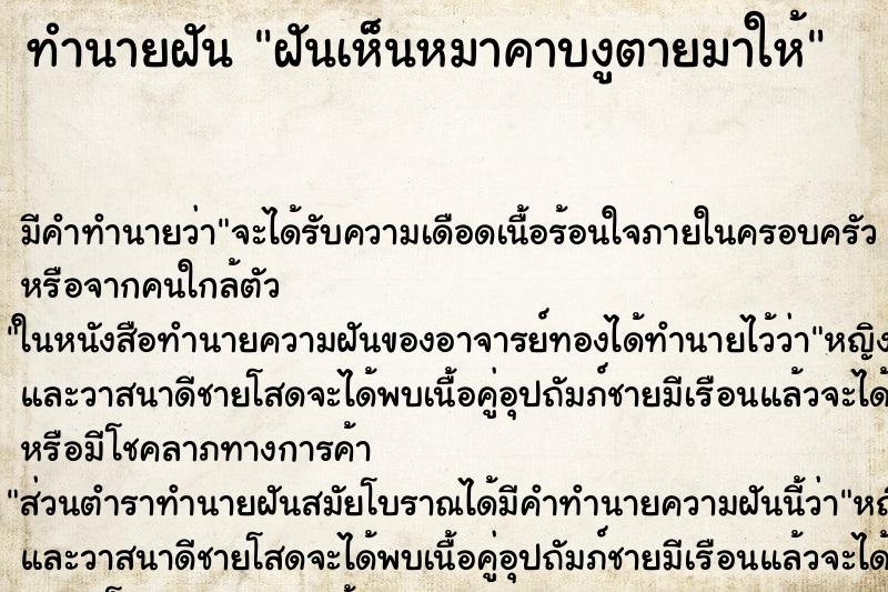 ทำนายฝันทำนายฝันฝันเห็นหมาคาบงูตายมาให้