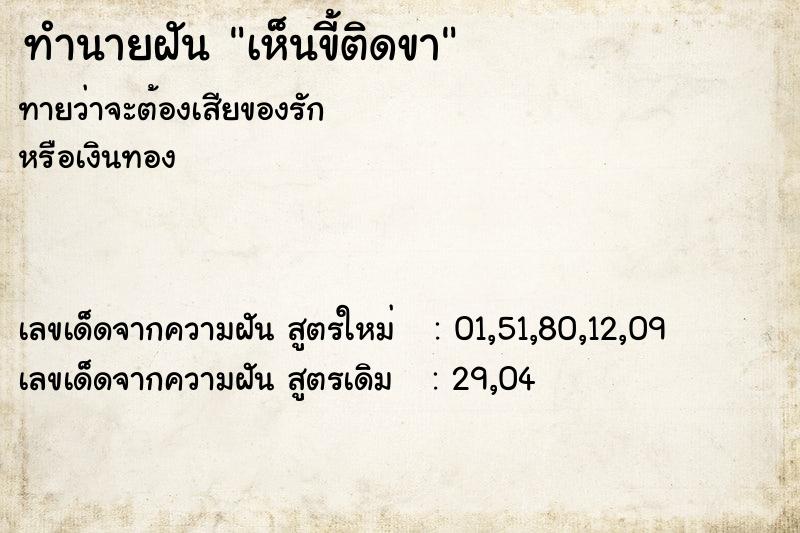 ทำนายฝันทำนายฝันเห็นขี้ติดขา