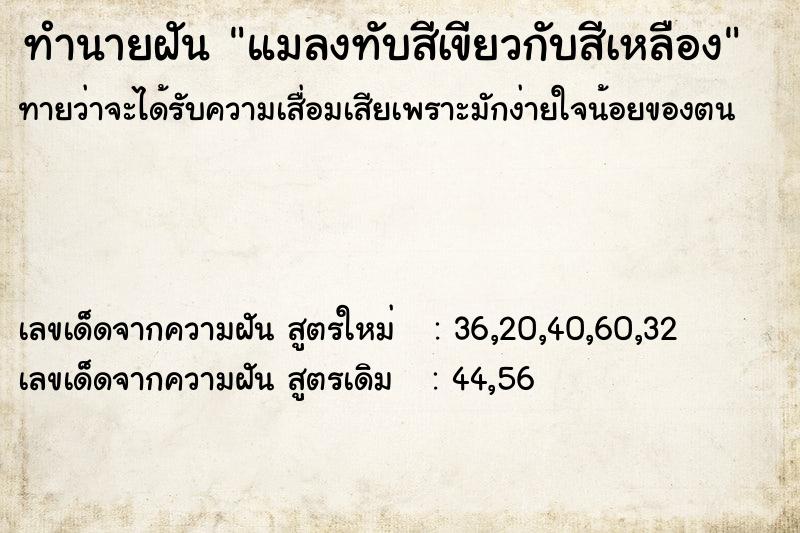 ทำนายฝันแมลงทับสีเขียวกับสีเหลือง ทำนายฝันทำนายฝันแมลงทับสีเขียวกับสีเหลือง