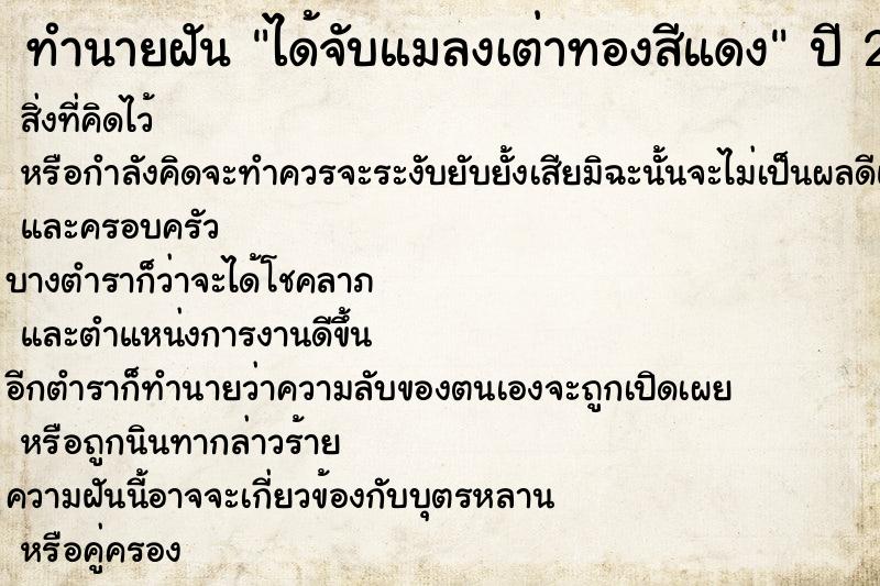 ทำนายฝัน ได้จับแมลงเต่าทองสีแดง ทำนายฝัน ได้จับแมลงเต่าทองสีแดง