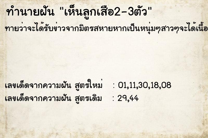ทำนายฝันเห็นลูกเสือ2-3ตัว ทำนายฝันทำนายฝันเห็นลูกเสือ2-3ตัว