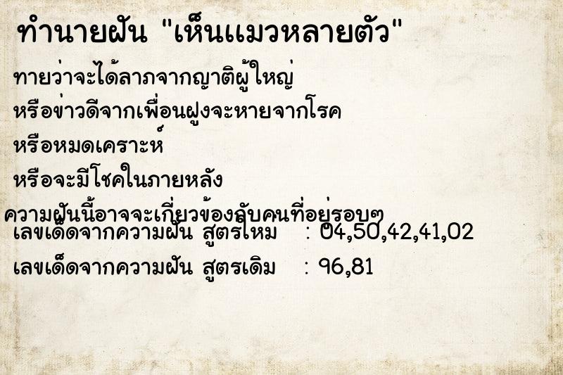 ทำนายฝันทำนายฝันเห็นเเมวหลายตัว