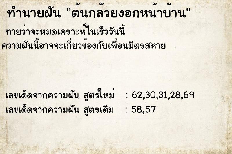 ทำนายฝันทำนายฝันf1e0ec038f598d57829d68482d761e9cต้นกล้วยงอกหน้าบ้าน