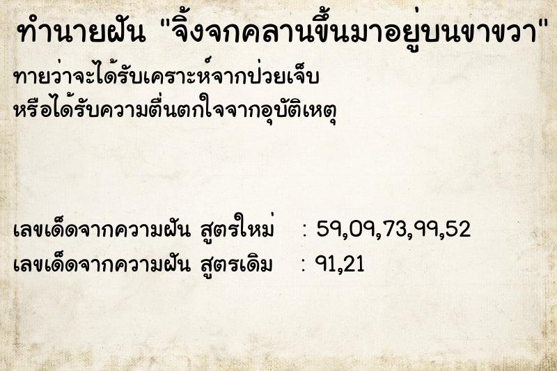 ทำนายฝัน จิ้งจกคลานขึ้นมาอยู่บนขาขวา ทำนายฝัน จิ้งจกคลานขึ้นมาอยู่บนขาขวา