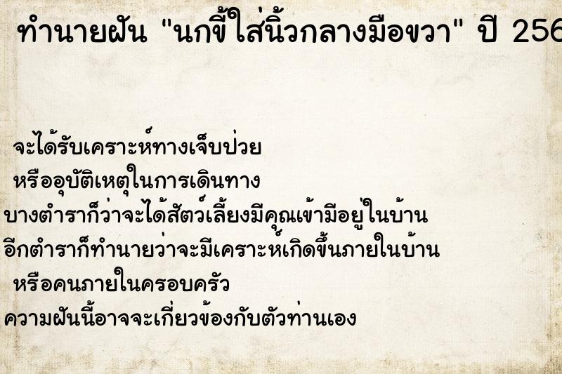 ทำนายฝัน นกขี้ใส่นิ้วกลางมือขวา ตำราโบราณ แม่นที่สุดในโลก