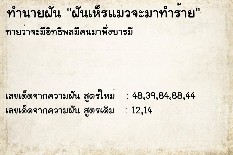 ทำนายฝันฝันเห็รแมวจะมาทำร้าย ทำนายฝันทำนายฝันฝันเห็รแมวจะมาทำร้าย