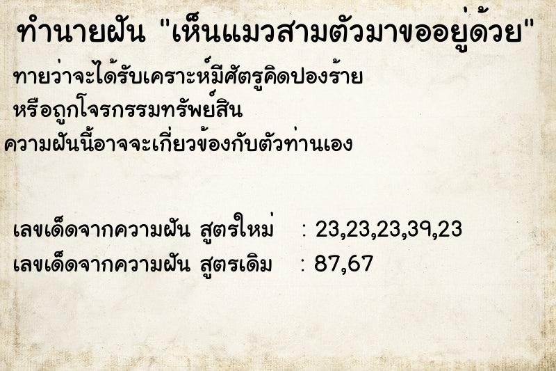 ทำนายฝันเห็นแมวสามตัวมาขออยู่ด้วย ทำนายฝันทำนายฝันเห็นแมวสามตัวมาขออยู่ด้วย