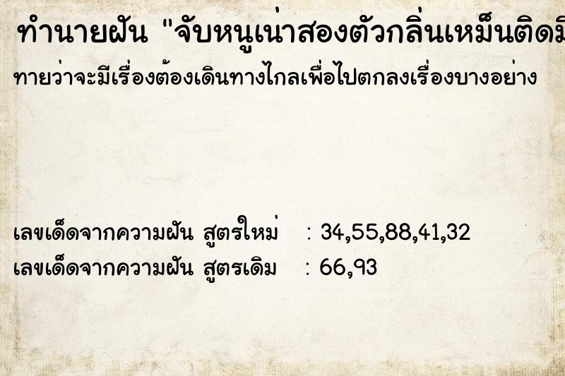 ทำนายฝัน จับหนูเน่าสองตัวกลิ่นเหม็นติดมือ