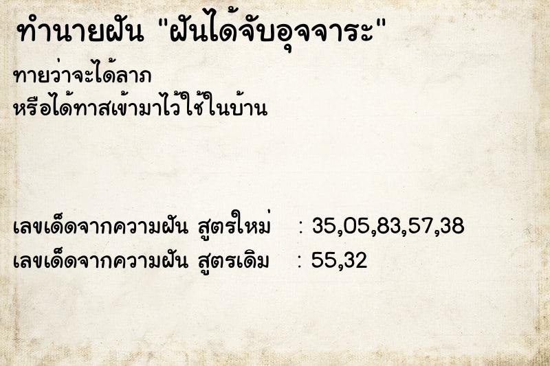 ทำนายฝันฝันได้จับอุจจาระ ทำนายฝันทำนายฝันฝันได้จับอุจจาระ